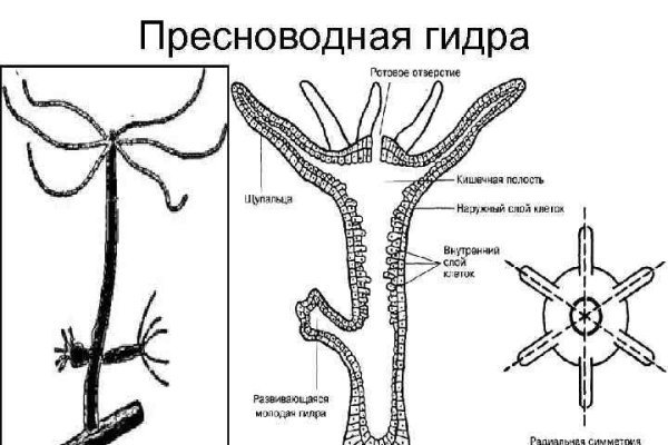 Кракен ссылки тор рабочая