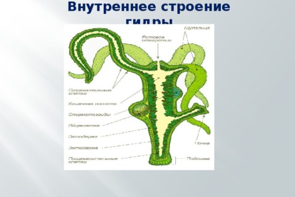 Кракен тор kr2web in