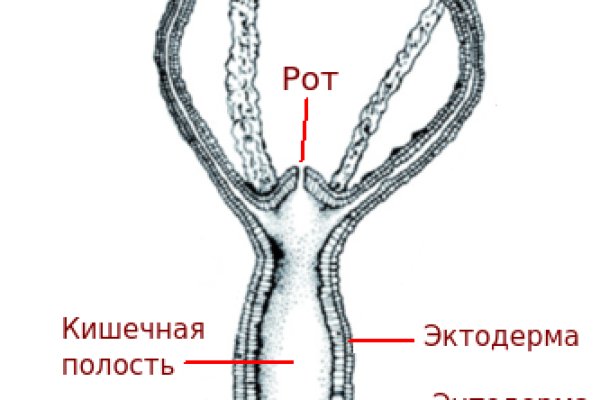 Кракен дарксайд