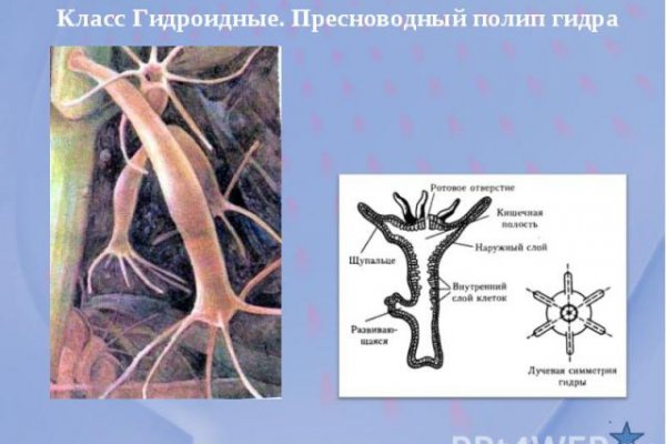 Как найти официальный сайт кракен